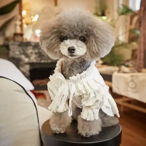 Luxury Dog Premium Prince Princess Linen Dress Pet High End Luxury Dog Clothes Luxury Dog Dresses French Style