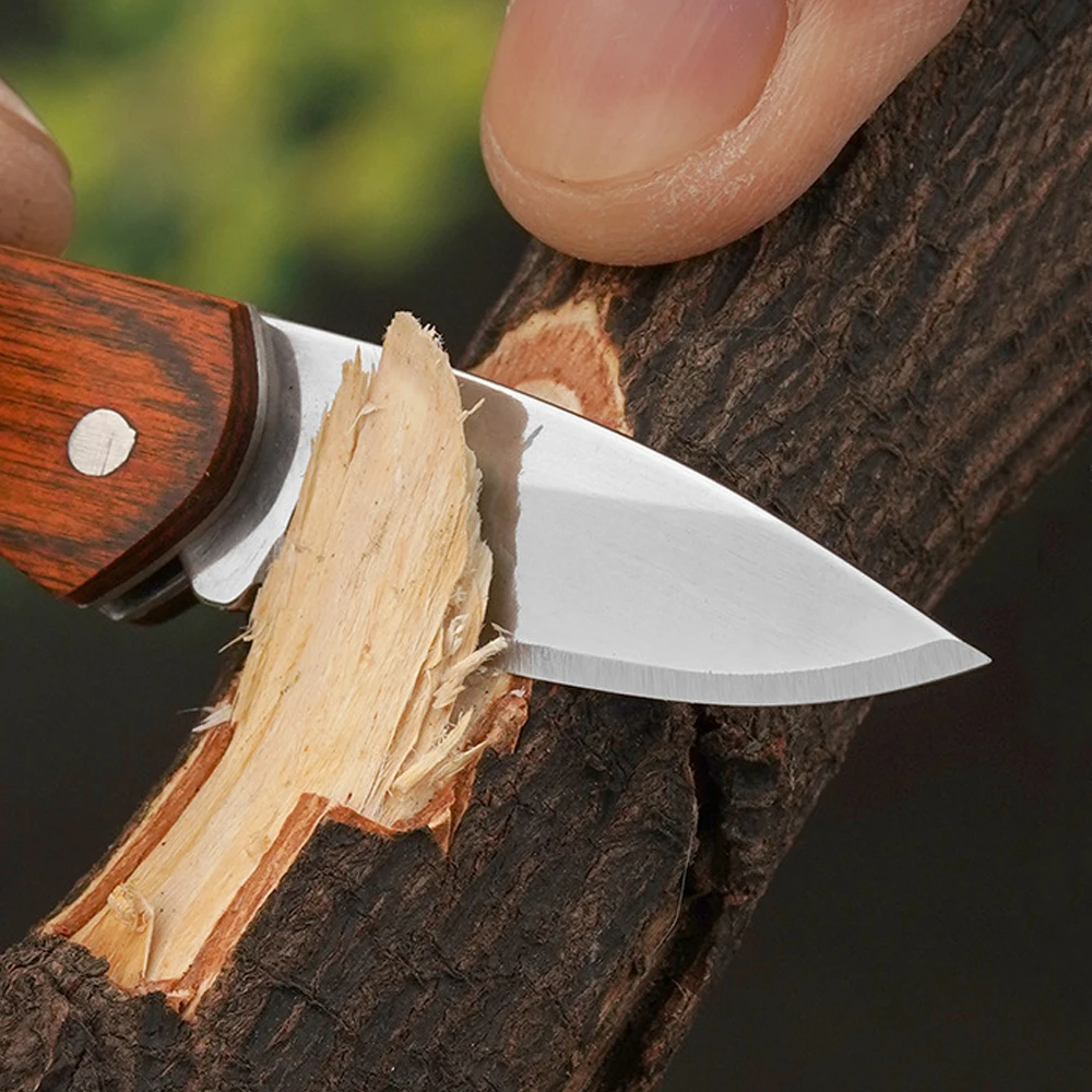 Small Keychain Pocket Knife Ev - Edc (Every Day Carry 评论和价格