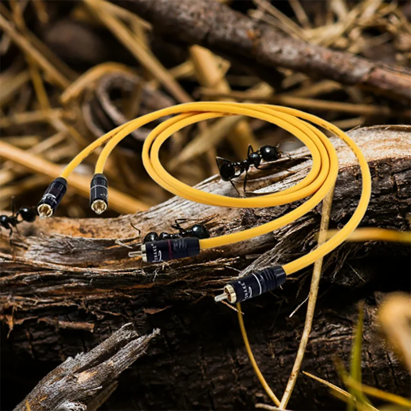 

​ ​ Пара соединений Pro Audio RCA — позолоченный 24 карата OFC с гибридным техником VDC 102 MK III и тройной экранировкой ​