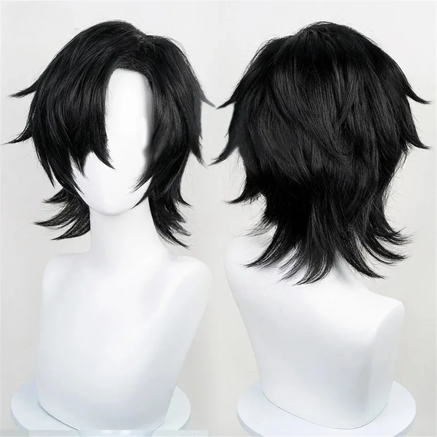Feitan Portor Cosplay Wigs Anime Cos Black Hair Wigs for Comic Con Coser Costume Theme Party Heat Resistant Synthetic Wigs