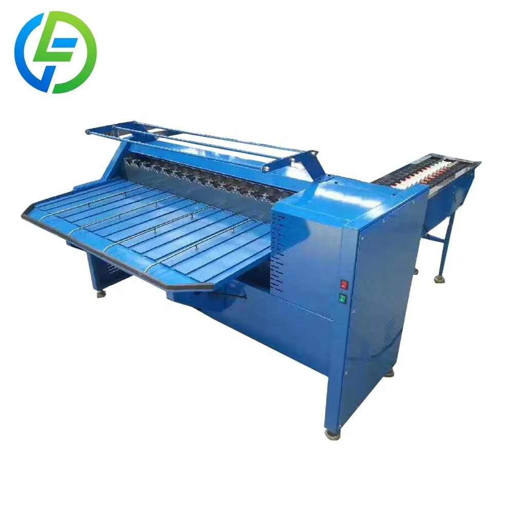 FOODLINE Tabletop Egg Grading Machine Compact Structure For Egg Wholesaler Preliminary Classification Work
