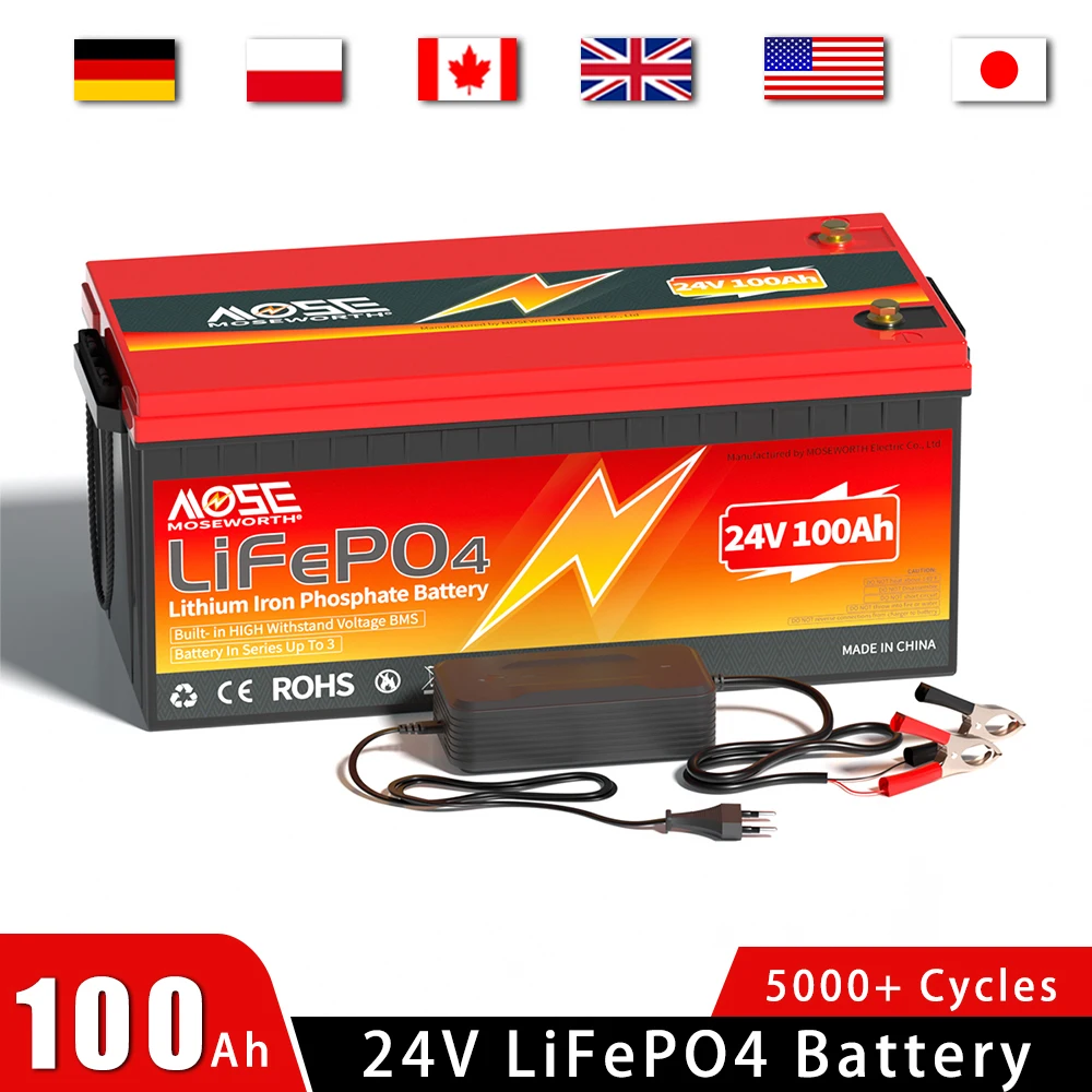 24V 100Ah LiFePO4 Battery 2560Wh Built in BMS 6000+ Cycles Solar Energy Lithium Battery Pack for Camping RV gOLF Cart EU NO TAX