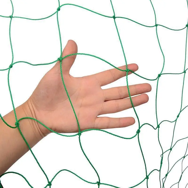 Cross-border Vine Climbing Net Plants Flowers Melons and Fruits Cucumbers Hang Net Bean Horn Gardening Plant Fast Delivery