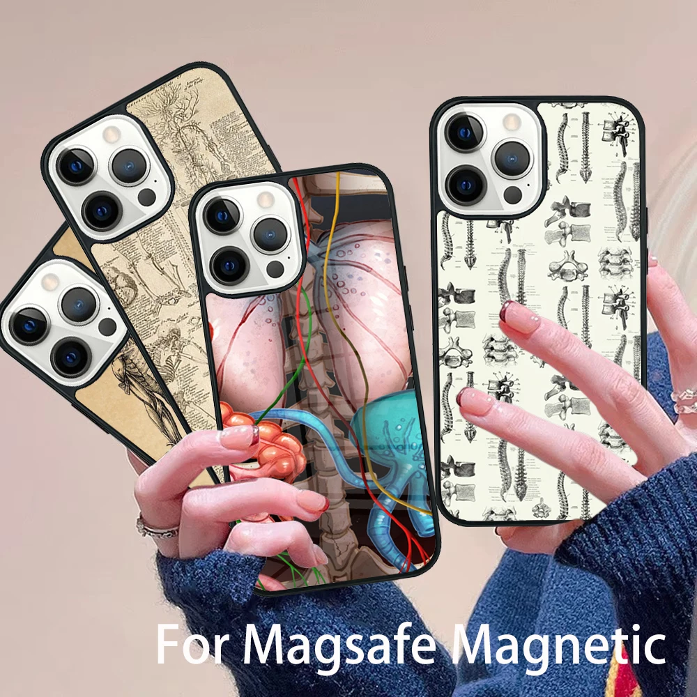 

Rap hajime miyagi andy panda Phone Case Magesafe Magnetic Wireless Charge Cover For IPhone 16 11 12 13 14 15 Pro Max Plus Mini