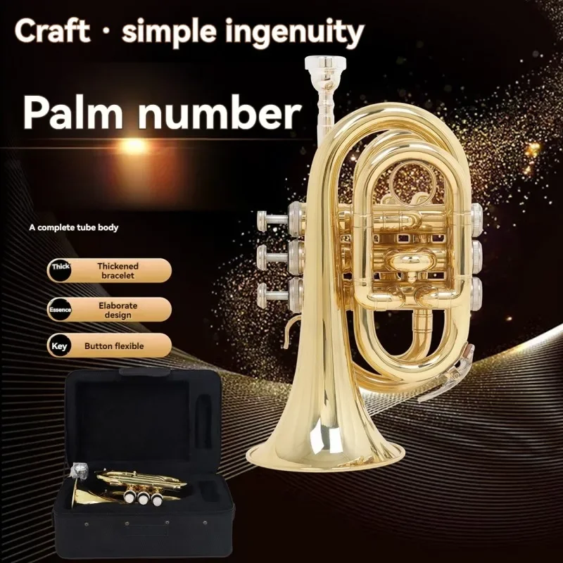 NewPalm Number In B Flat Brass Pocket Trumpet Beginners Test Pipe Cornet