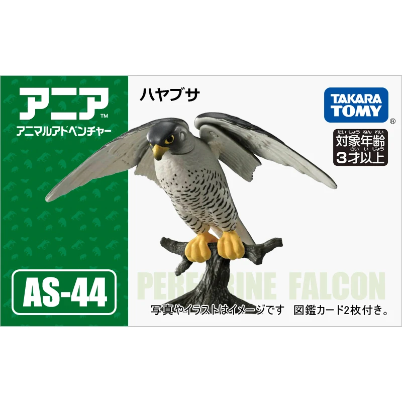 

TAKARA TOMY Anlia модель животного миниатюрный Раптор Peregrine Falcon Коллекция игрушек для мальчиков подарок на день рождения