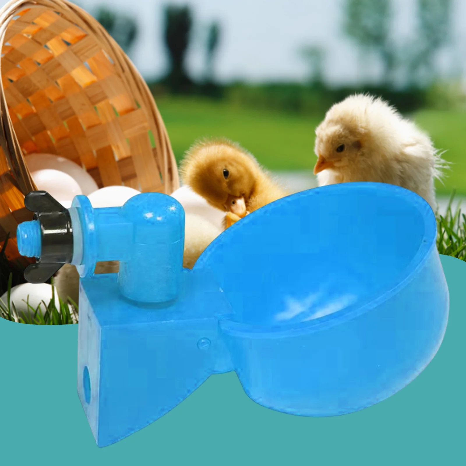 6 pçs frango pato beber tigela pendurado dispensador de água automático frango plástico prático conveniente para alimentação animal da fazenda