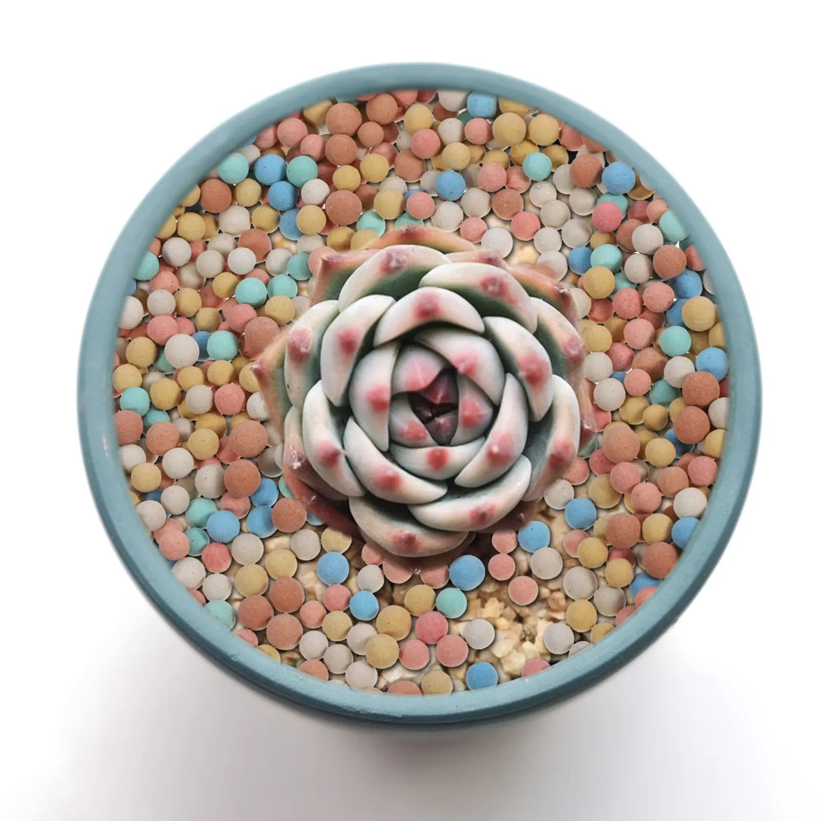 

2 Bags Round for Succulent Plants Air Permeable Potting Decoration Bonsai Ceramsite Stone Cultivation Soil Stone