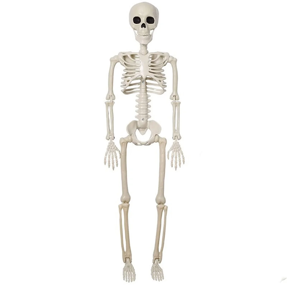 Halloween Skeleton Decoration, Posable Full Body Skeleton with Movable Joints, Spooky Prop for Yard, Garden, Lawn, Patio