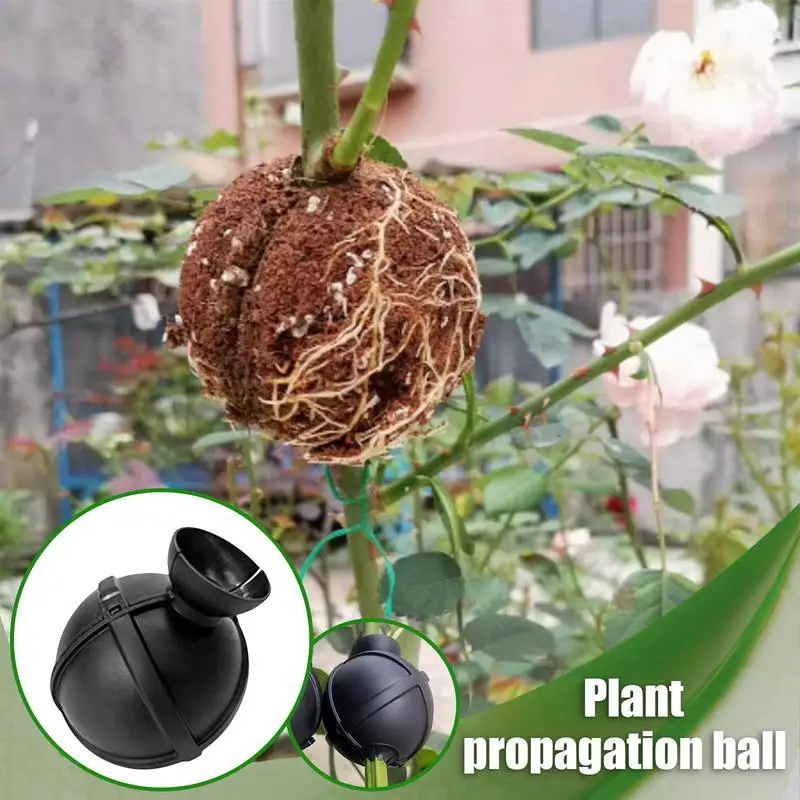 Plant Root Growing Box Rooting Balls For Trees Grafting Case For Fruit Tree Potting Substrate Care Indoor Gardening Aquaponics