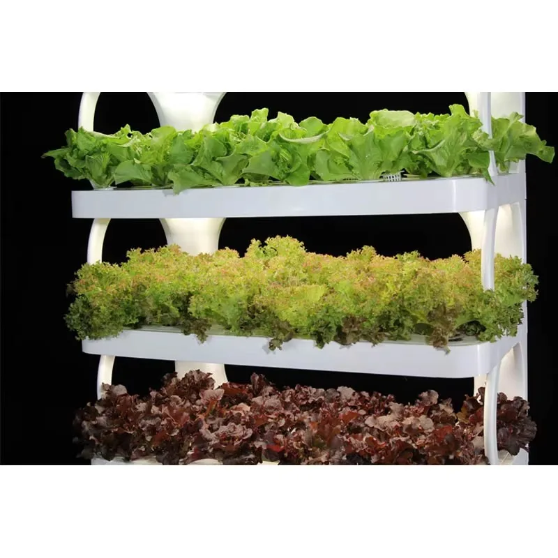 الزراعة المائية الجديدة نظام Aquaponic العمودي نظام الزراعة المائية برج الاستخدام الداخلي #5