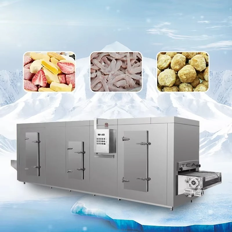 Customized Small Capacity 100-300kg/h Tunnel Freezer Fish Frozen Machine Freezer Machine Tunnel
