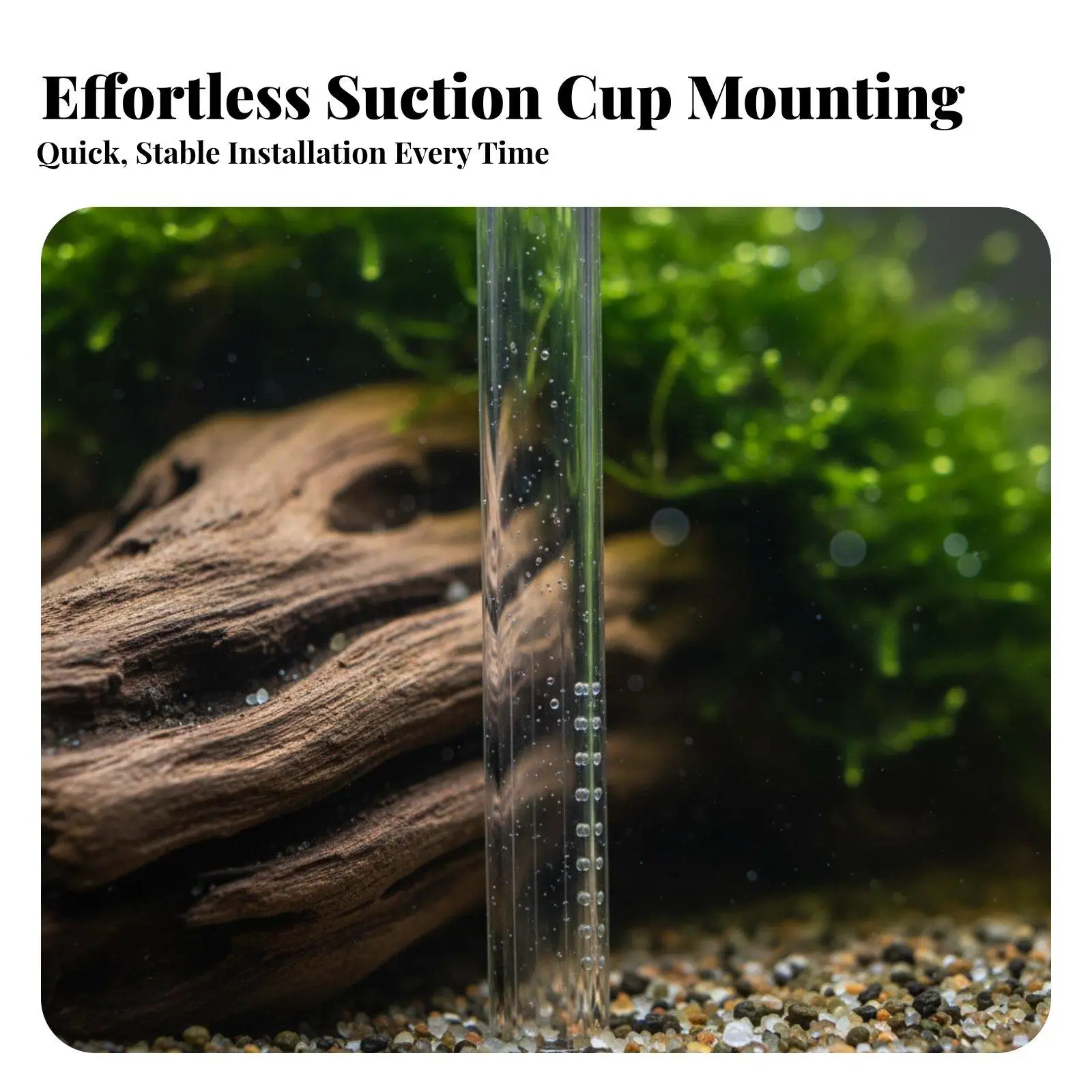 Glass Lily Pipe Outlet for Aquarium Canister Filter Water Circulation Inflow Outflow Set for Planted Tank Aquascape - view 3