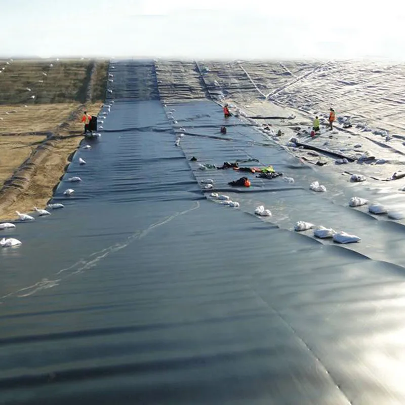 Custom Smooth or Textured HDPE Geomembrane for Fish Pond Dam Reservoir Landfill Mining and Wastewater Projects