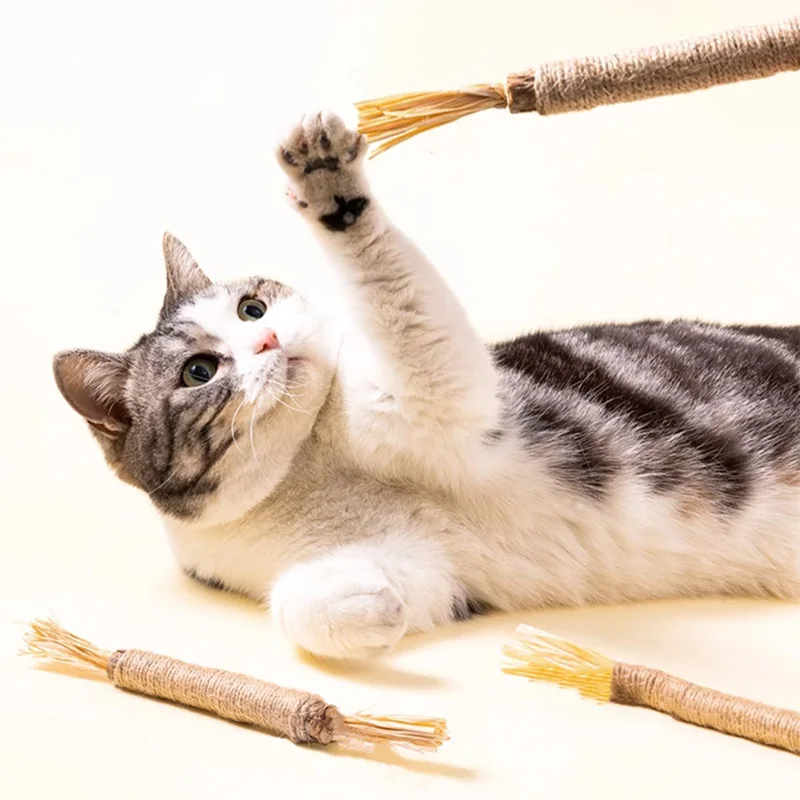 Cat Toys Polygonum Chew Stick Natural Catnip Cleaning Teeth Cat Wooden pet Snacks Dental Scraper post Accessories for cats