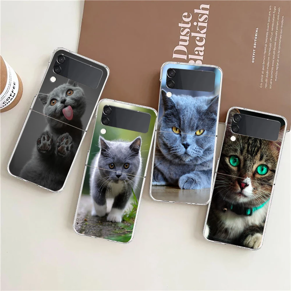 Cartoon Cute Cats Clear Phone Case For Samsung Galaxy Z Flip 3 4 5 Hard Folding PC Shell For Samsung Z Flip3 Transparent Cover