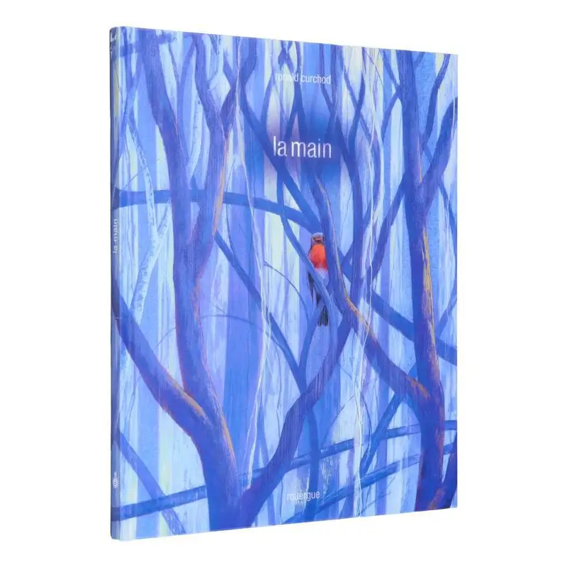 

La Main Ronald Curchod Rouergue 9782812622465 Book