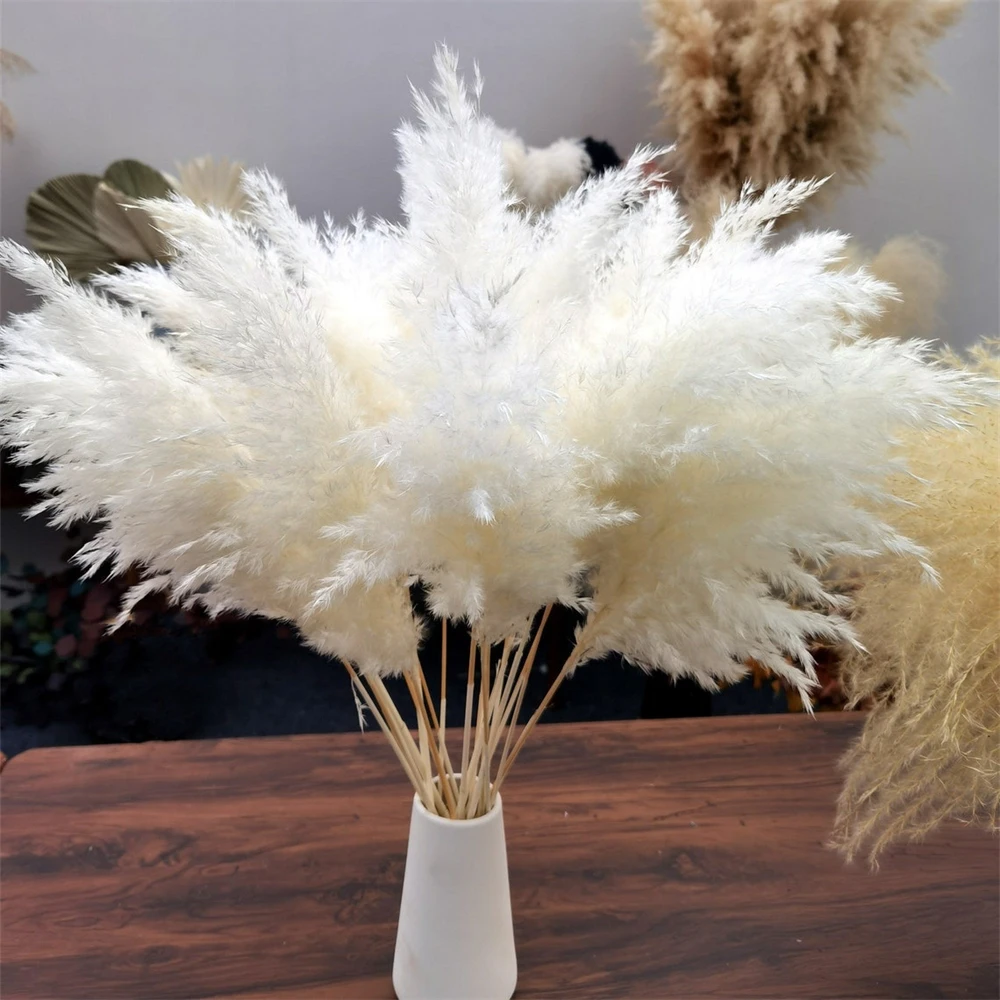 

Pampas Grass Dried Flower Wedding Party Christmas Winter Decoration and Table Accessories Wall Vase Supplies Centerpiece Deco