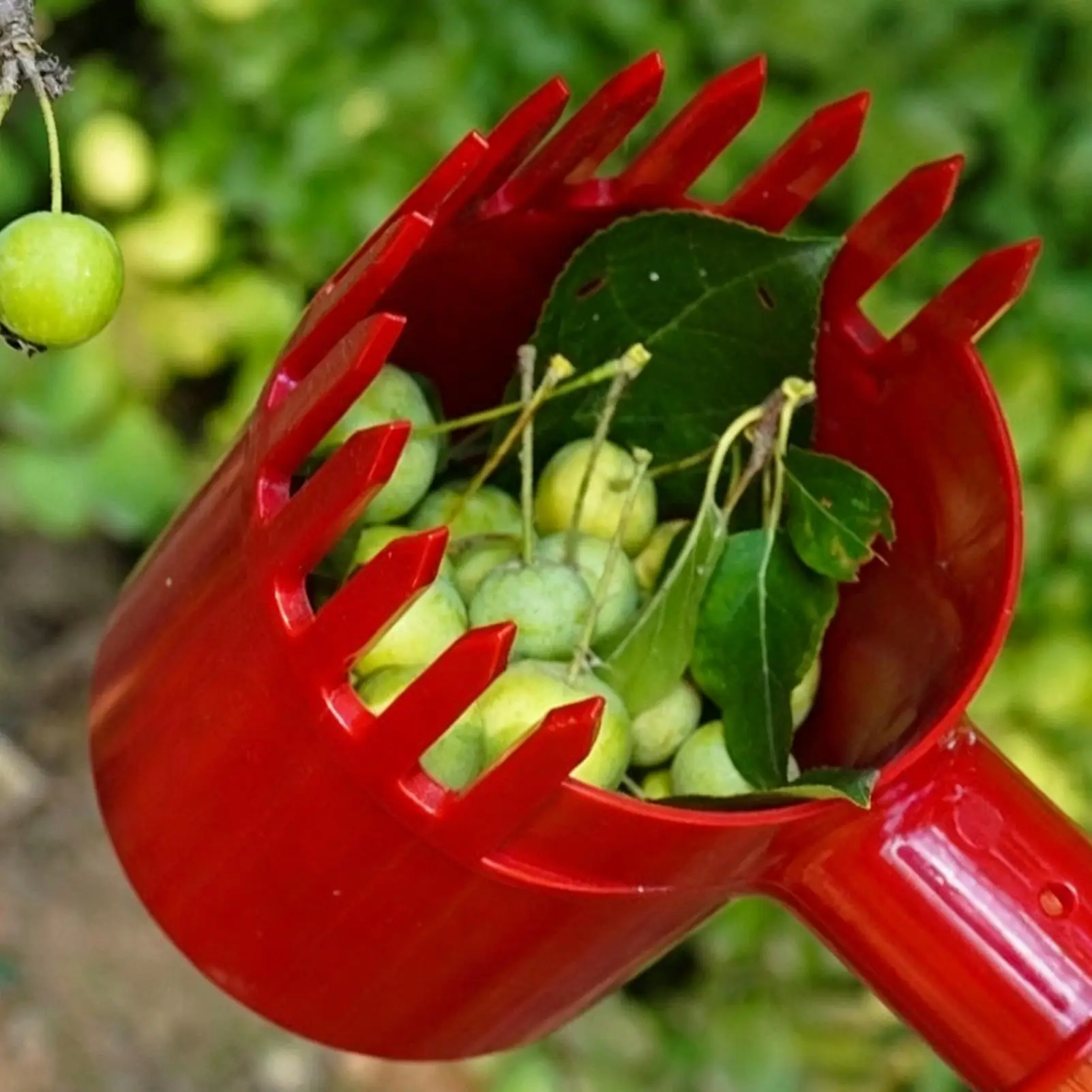 Garden Tree And Fruit Picker Tool Comb Teeth Gardening Equipment For Jujube Blueberry Tomato Strawberry Harvesting