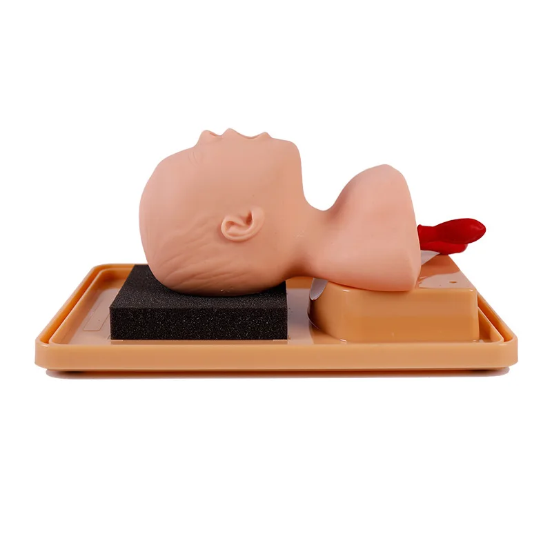 

Medical School Training and Education Teahing Advanced PVC Material Neonate Tracheal Intubation Model BIX- J2A