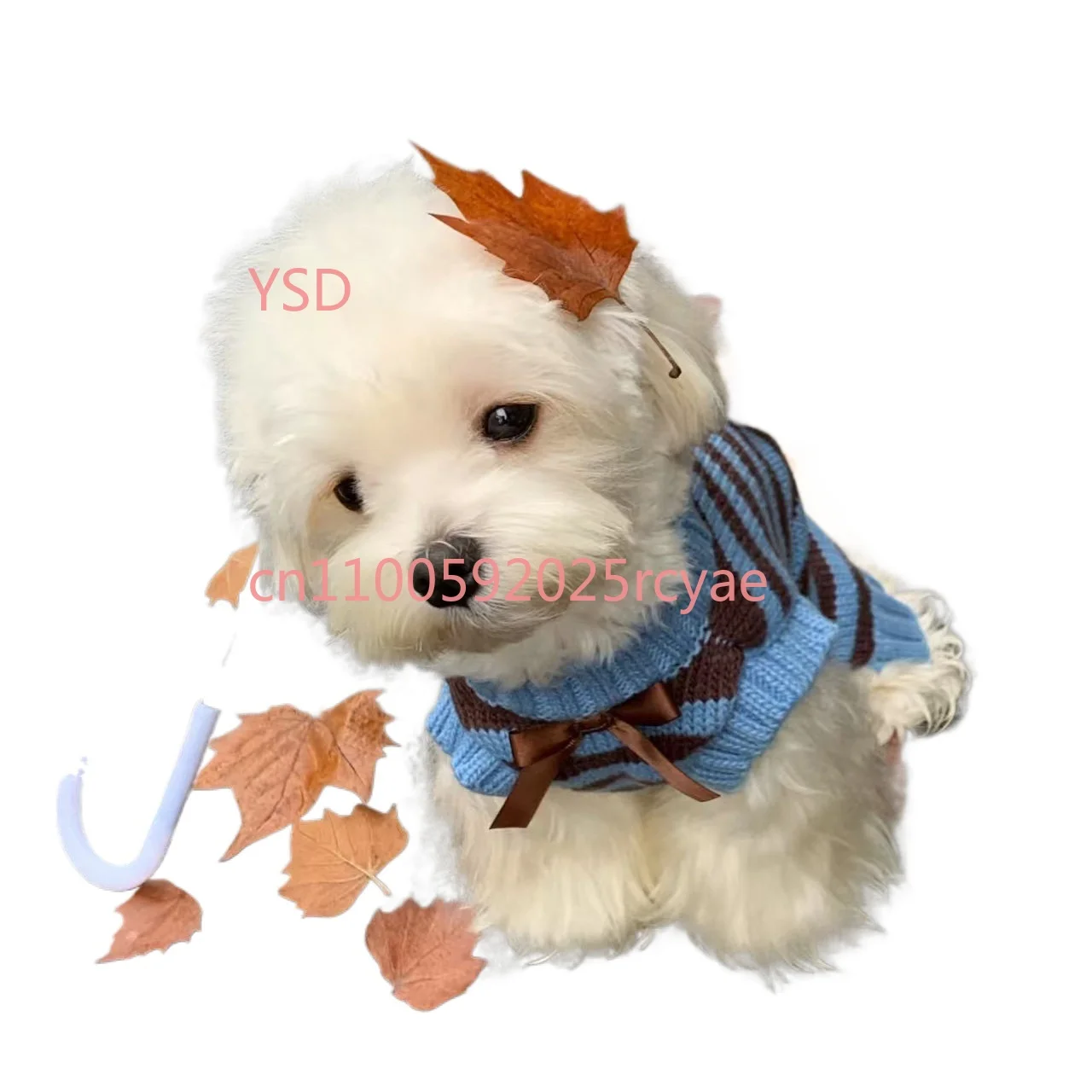 Pet cat dog sweater autumn and winter warm medium and small dog Yorkshire than the bear teddy super cute Internet celebrity