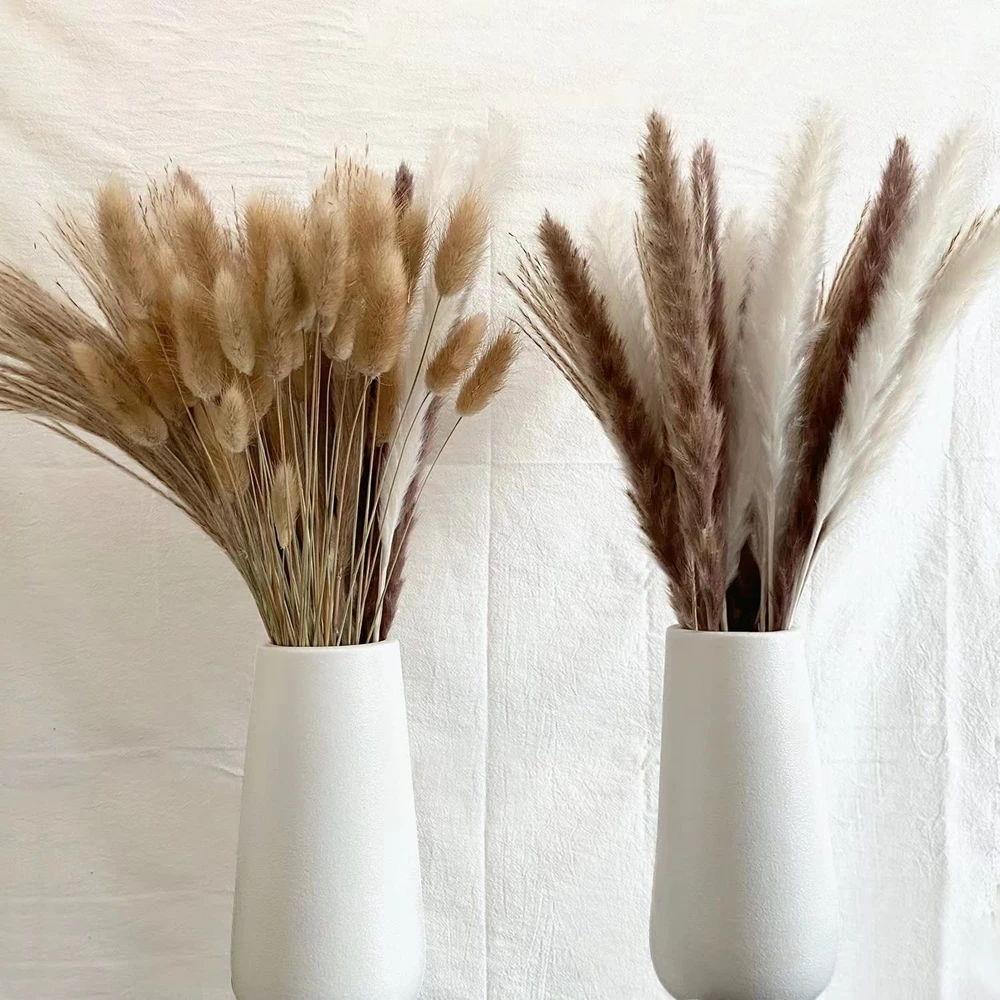 100Pcs/lot Cream Pampas Grass Fluffy Room Phragmites Decoration Natural Bunny Tail Grass Dried Flowers Bouquet Boho Home Decor