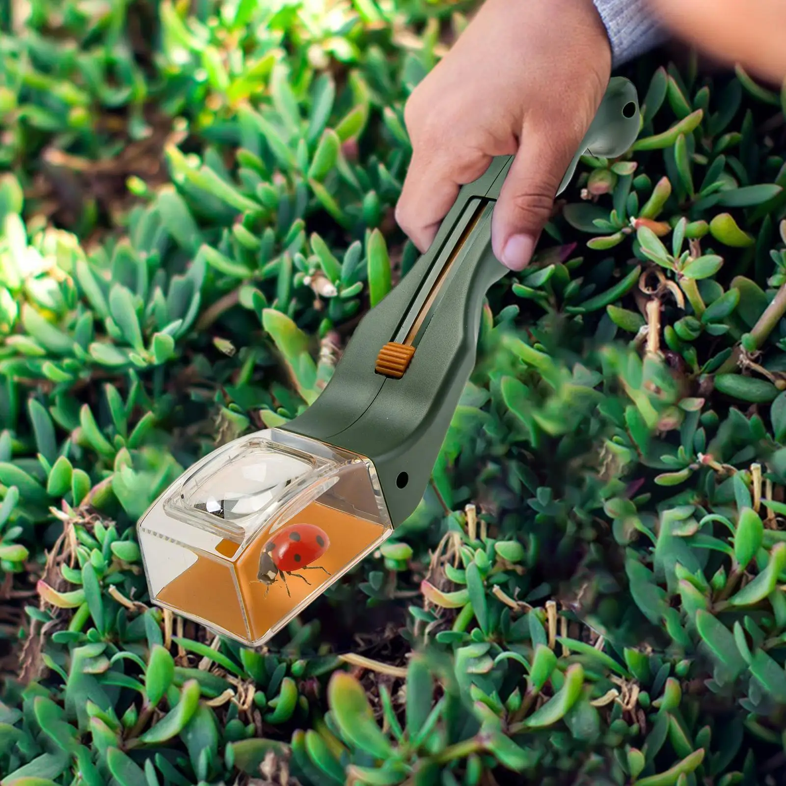 Thumbnail 3 - #19 Compare Pest Control Traps Before You Buy