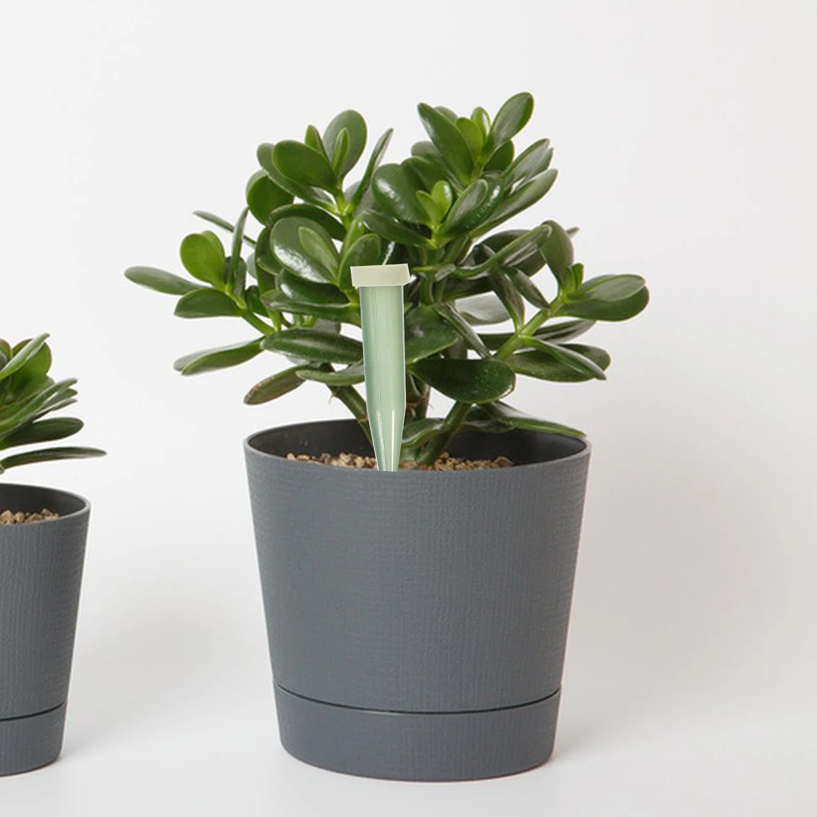 25 個の花用水チューブ生花保存バイアルアレンジメント用栄養液対応コンパクト軽量