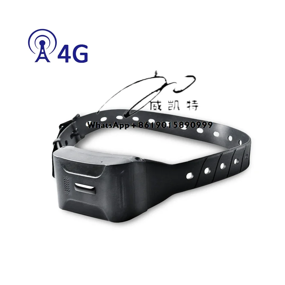 2025 New 4G Waterproof IP68 Mini Personal Heartbeat Measurement Smart Pet Dog Device GPS Tracker LK880