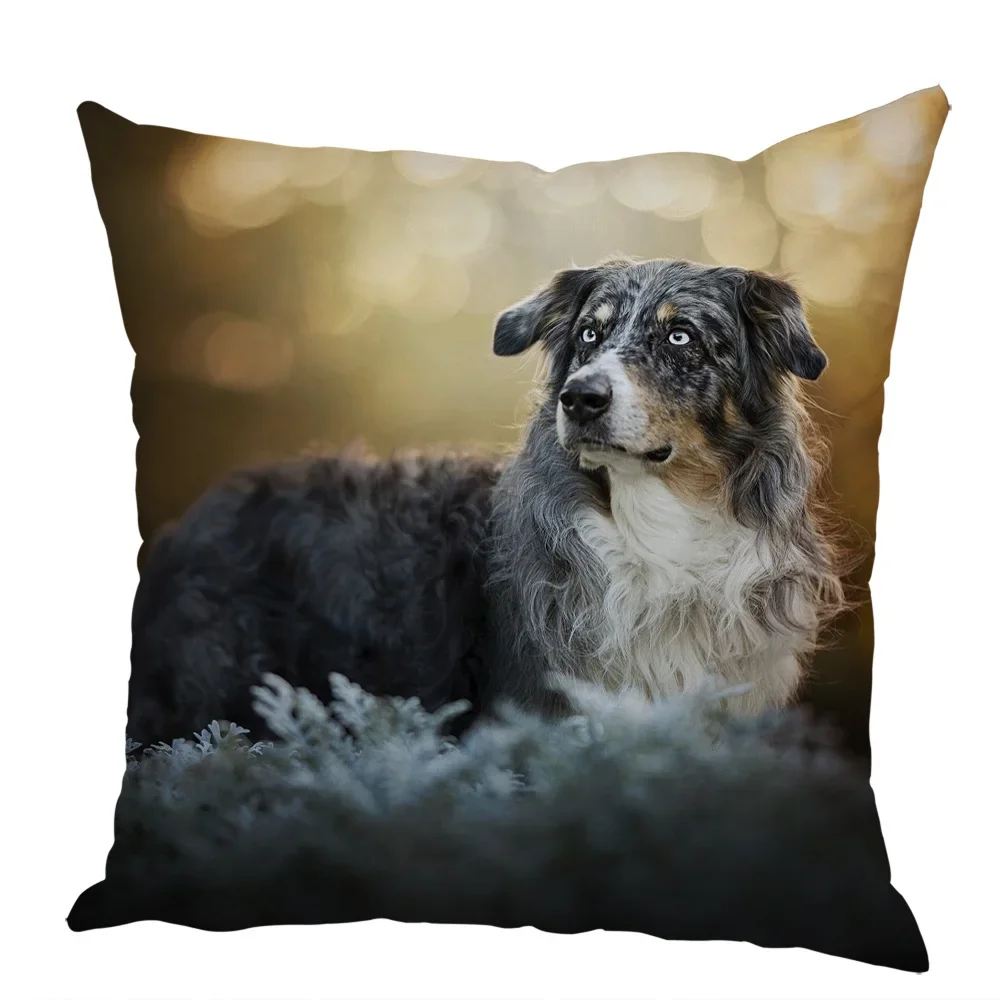 Cute Australian Shepherd Dog Pillow Case Peach Skin Decor Pet Animal Cushion Cover Thorw Pillowcase for Sofa Home Car 45x45cm