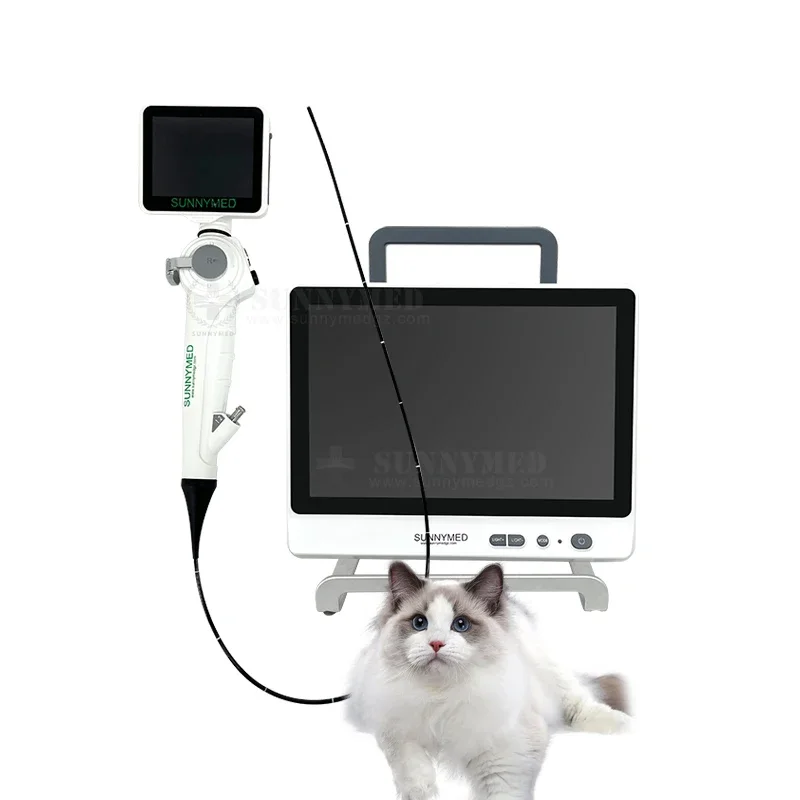 

SY-P029-3 Veterinary video endoscope accessories Uroscope choledochoscope Animal diagnostic instrument