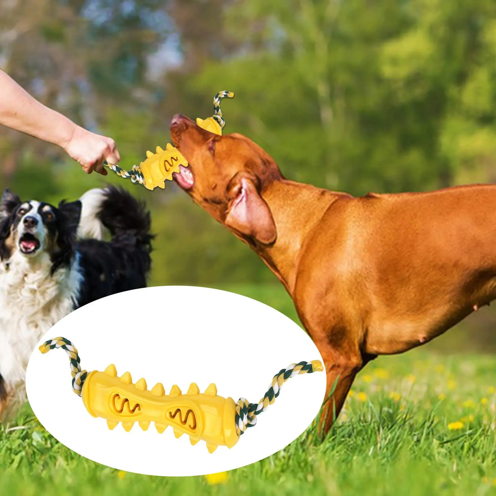 Kauwspeelgoed Voor Agressieve  - Dog Rope Toy Aggressive Chewers recensie en prijs