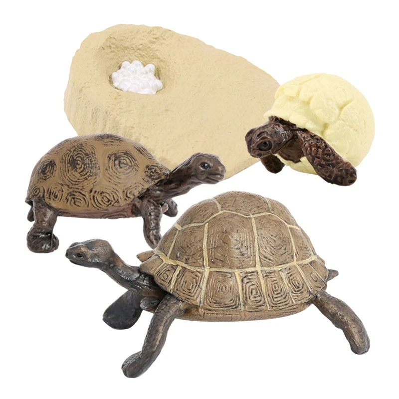 Simulation de la vie animale de la tortue, jouets pour enfants, subventionnement de la croissance des animaux, modèle de croissance des animaux