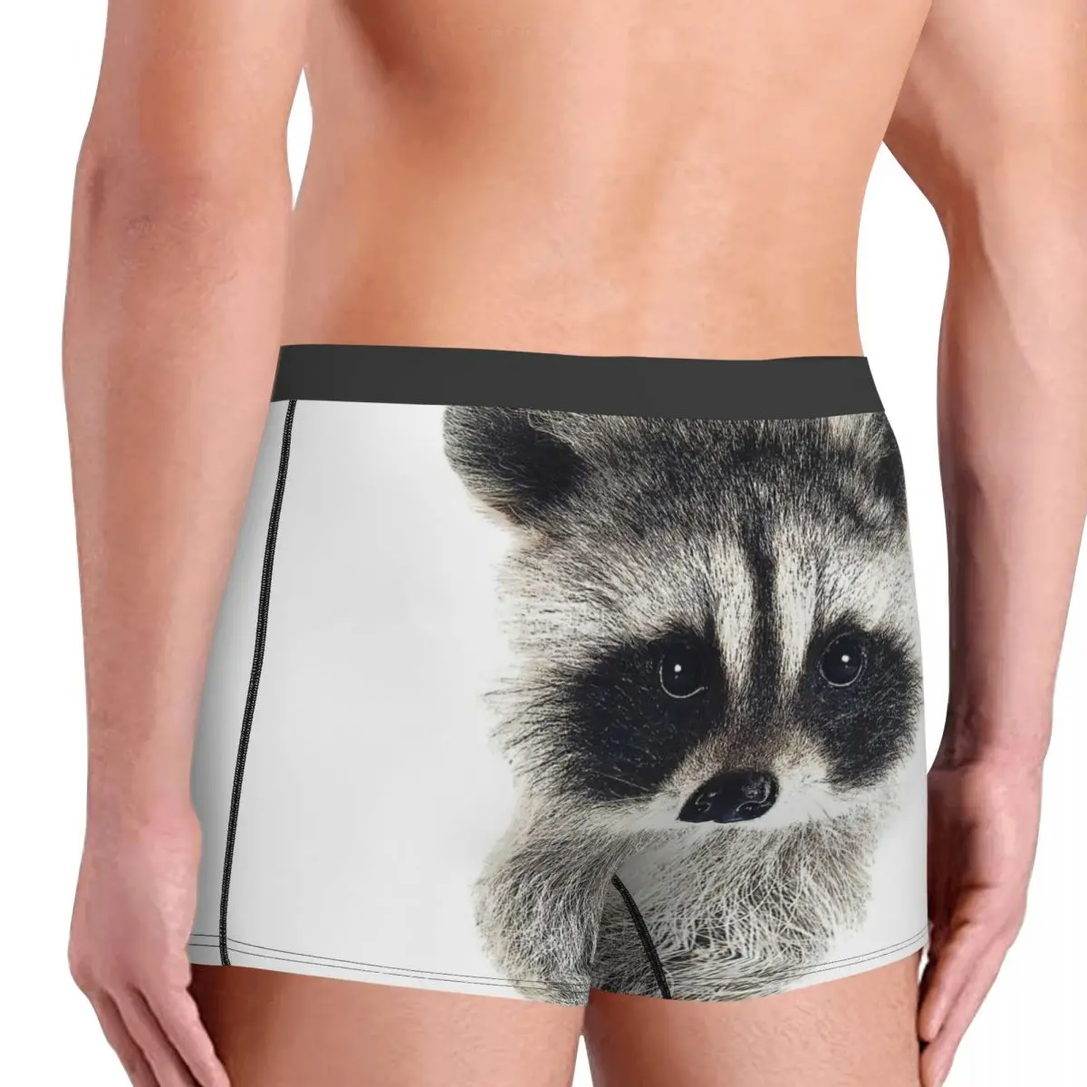 Baby Raccoon Underpants Homme Panties Man Underwear Ventilate Shorts Boxer Briefs