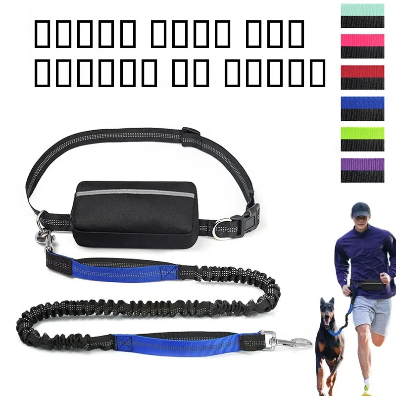 夜間ランニング用反射ペットリード-スポーツドッグリード-高視認性ウォーキングハーネス-その他素材-その他ブランド-ペット用品