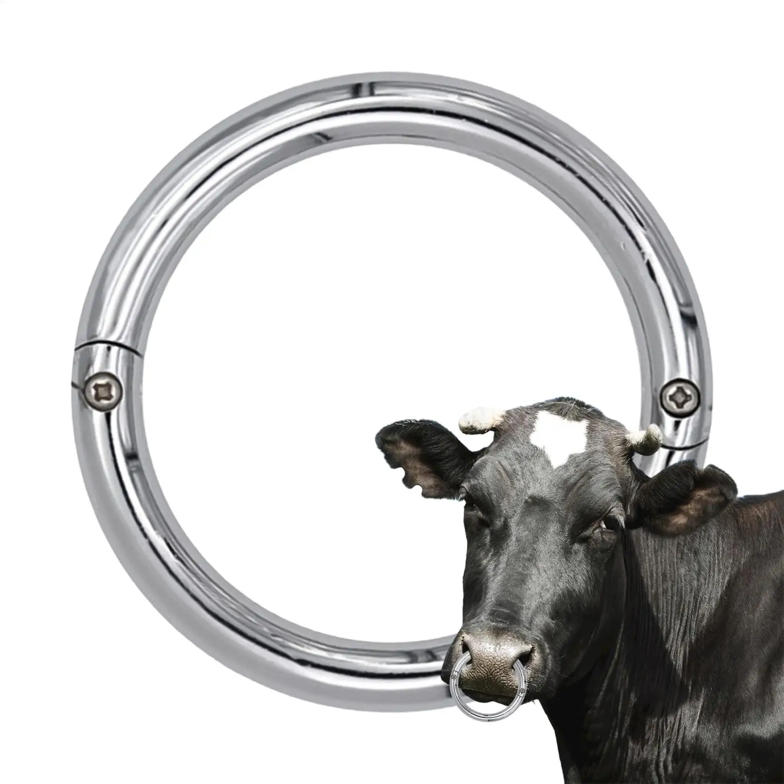 

Bull Nose Ring Stainless Steel Sturdy Silver Septum Ring for Bull Control Multifunctional Cattle Veterinary Instruments
