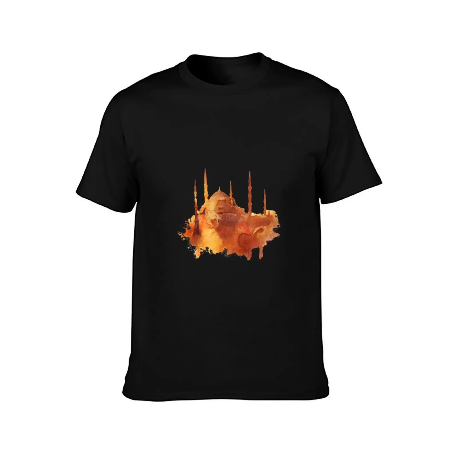 Sultan Ahmed Mosque (Blue Mosque) T-Shirt Quick Dry Outdoor Sports T-Shirt