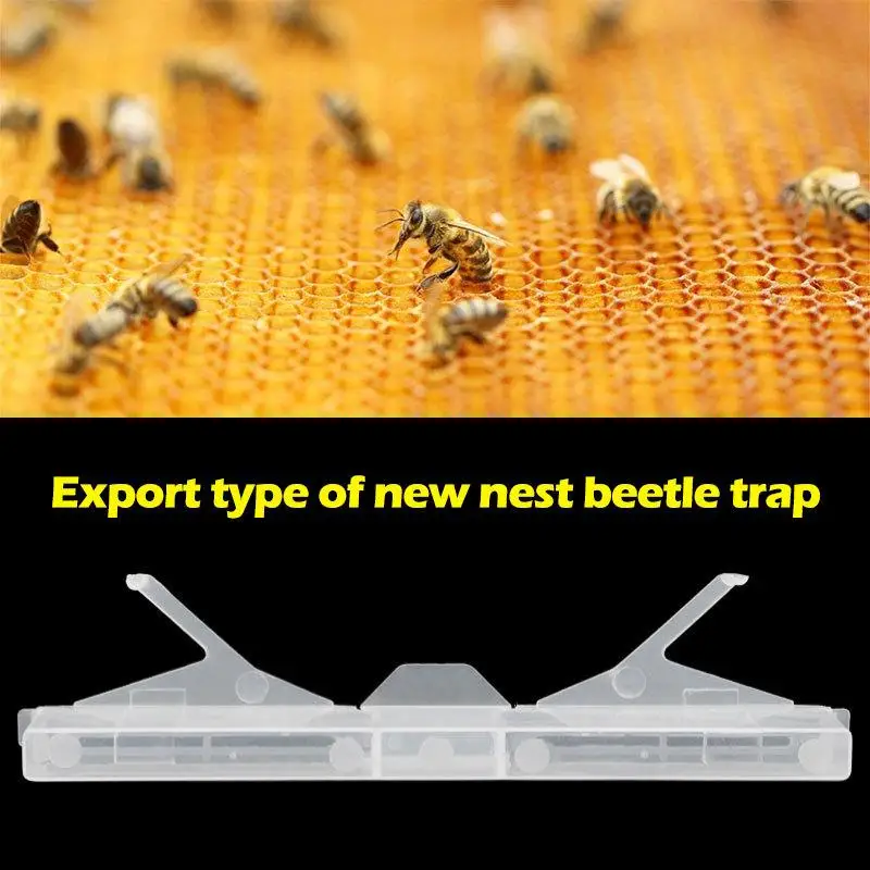 5/10Pcs Beetle Trap Clear Plastic Reusable Bee Health Suitable Frame Capture Beetle Beekeeper Supplies Gift