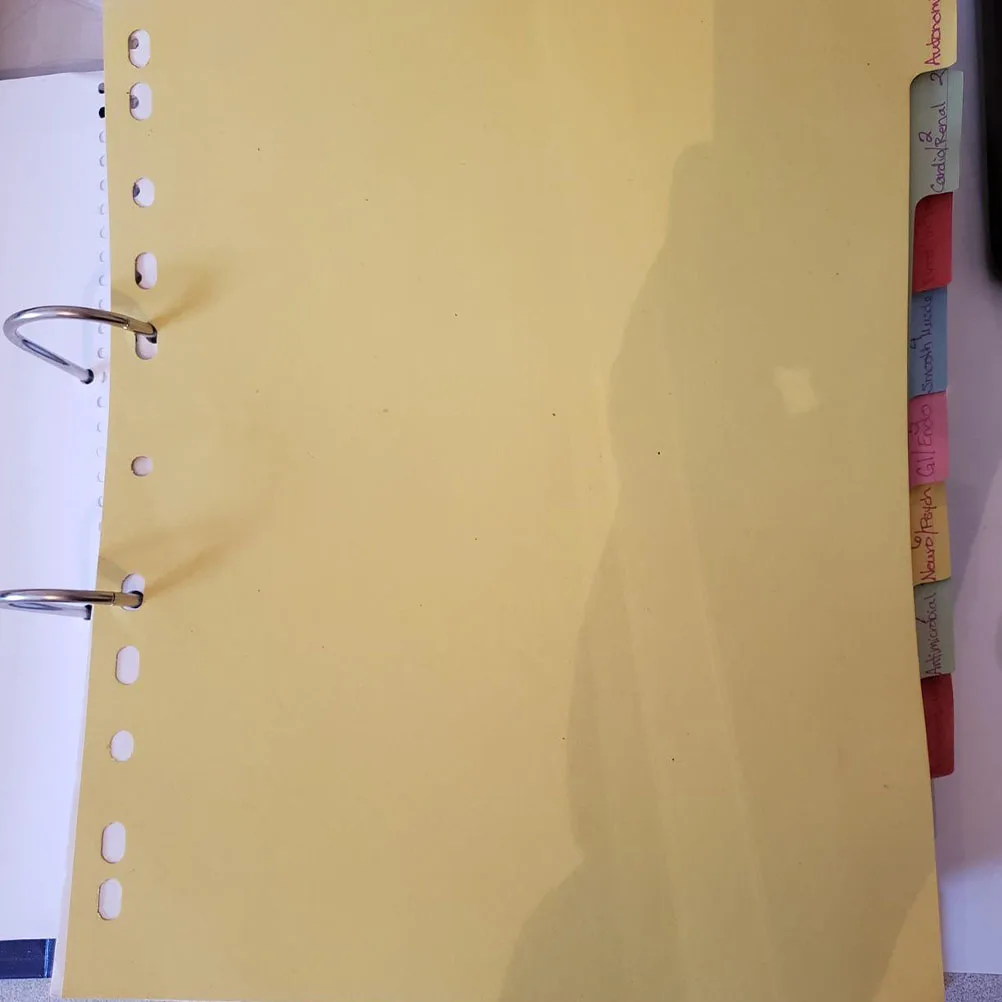 

12pcs Colored Tab Dividers A4 11 Holes Index Classified Labels Plastic Binder Separators Notebooks Organizers Color Sort Paper