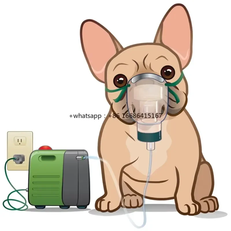 Pet For Golden ,Labrador Big Dog, Asthma Respiratory Disease