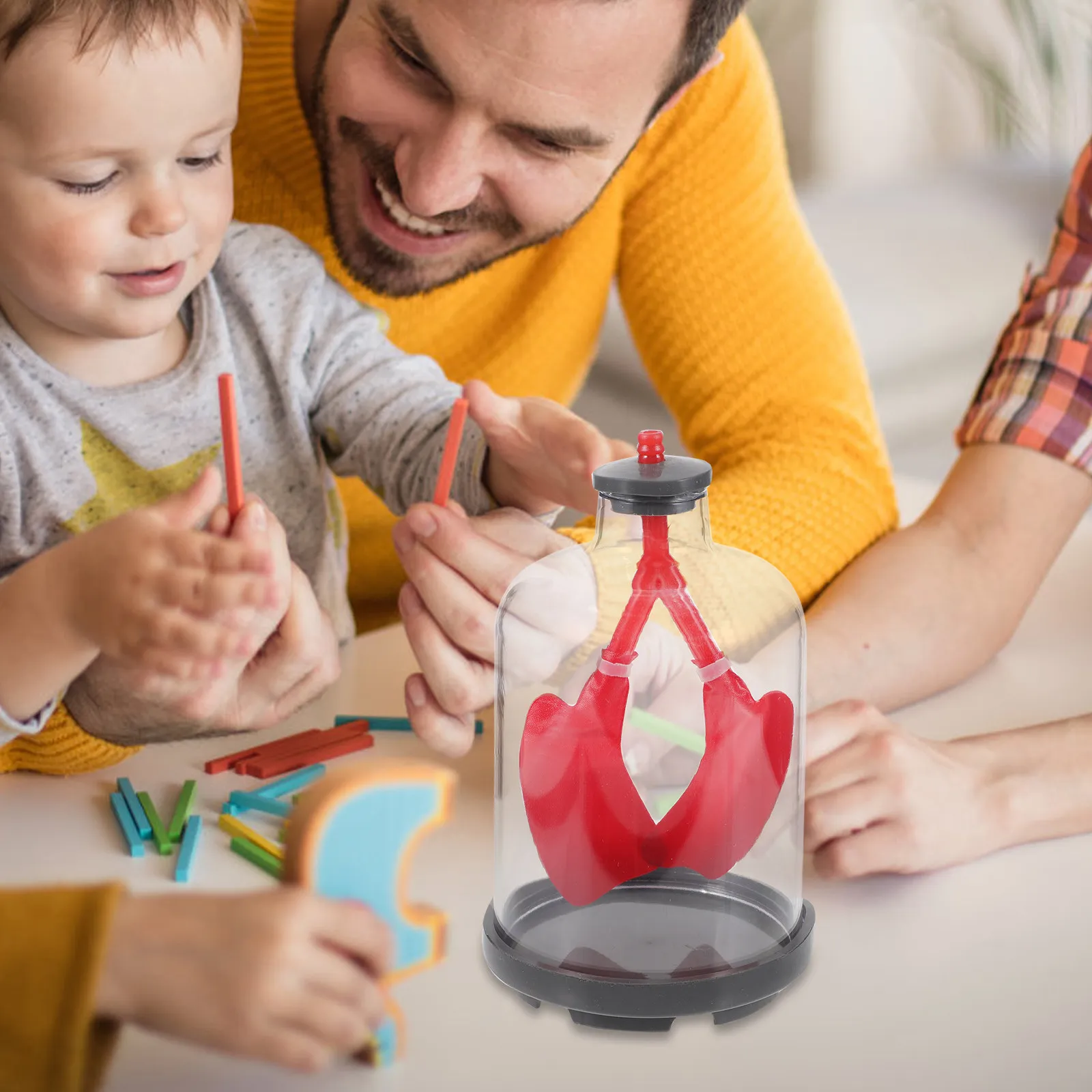 

Human Lung Function Educational Teaching Aid Lung Breathing Demonstration Physiological Science Display Aid Teaching Model