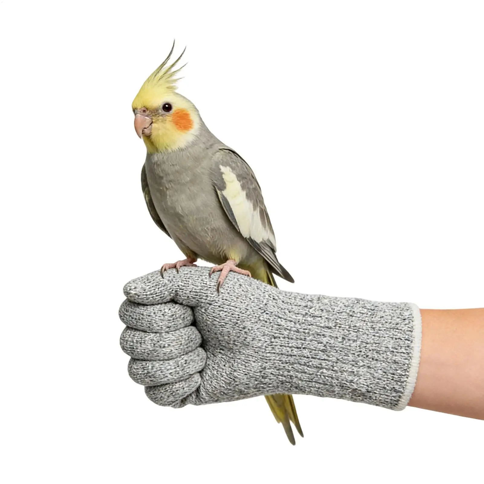 Katzenbissfeste Handschuhe Kratz- und Durchstichresistente Robuste Lederhandschuhe für Tierpflege, Tierarzt, Falknerei, Vogel- und Papageienhaltung