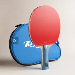 Original PALIO 2 Stars Table Tennis Racket with CJ8000 Rubber Loop Offensive Control Spin Ping Pong Bat With Bag