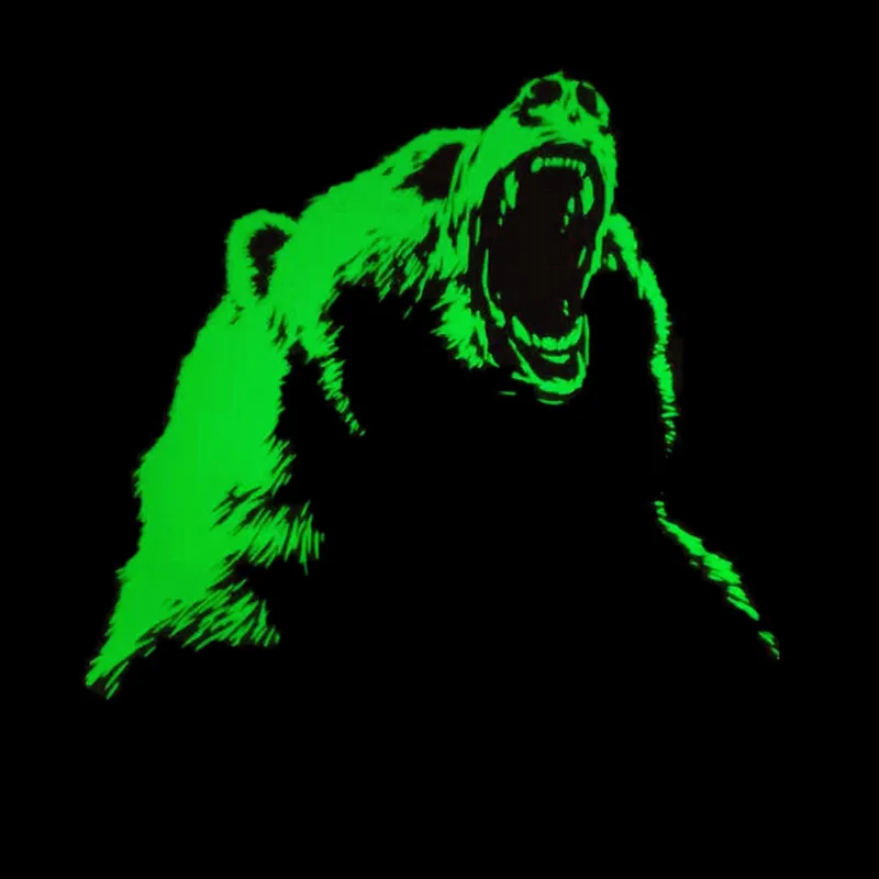 Heat Transfer PVC Patches Fluorescence Bear DIY Clothes Stickers For Clothing Iron On Patches Animal Style For Music Festival image 3