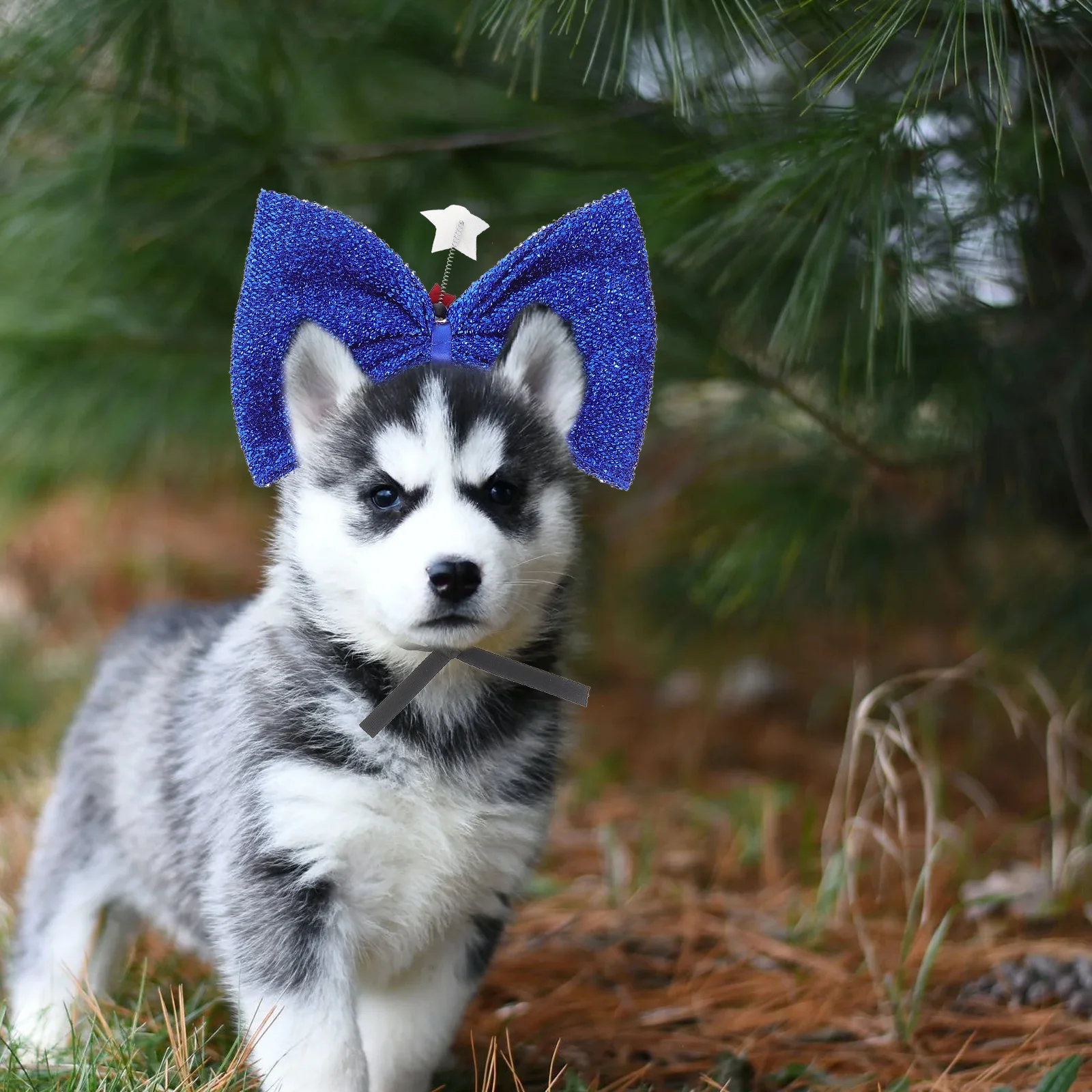 

Pet Bow Headband Comfortable Lightweight Independence Day Dog Cat Hair Hoop Party Costume Accessory Props Dog Costume