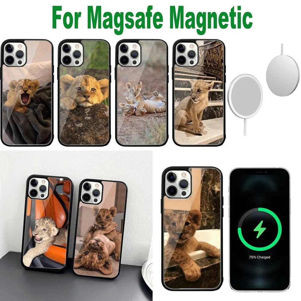 

Cute Lion cub Phone Case For iPhone 16,15,14,13,12,11,Plus,Pro,Max,Mini Magsafe Magnetic Wireless Charging