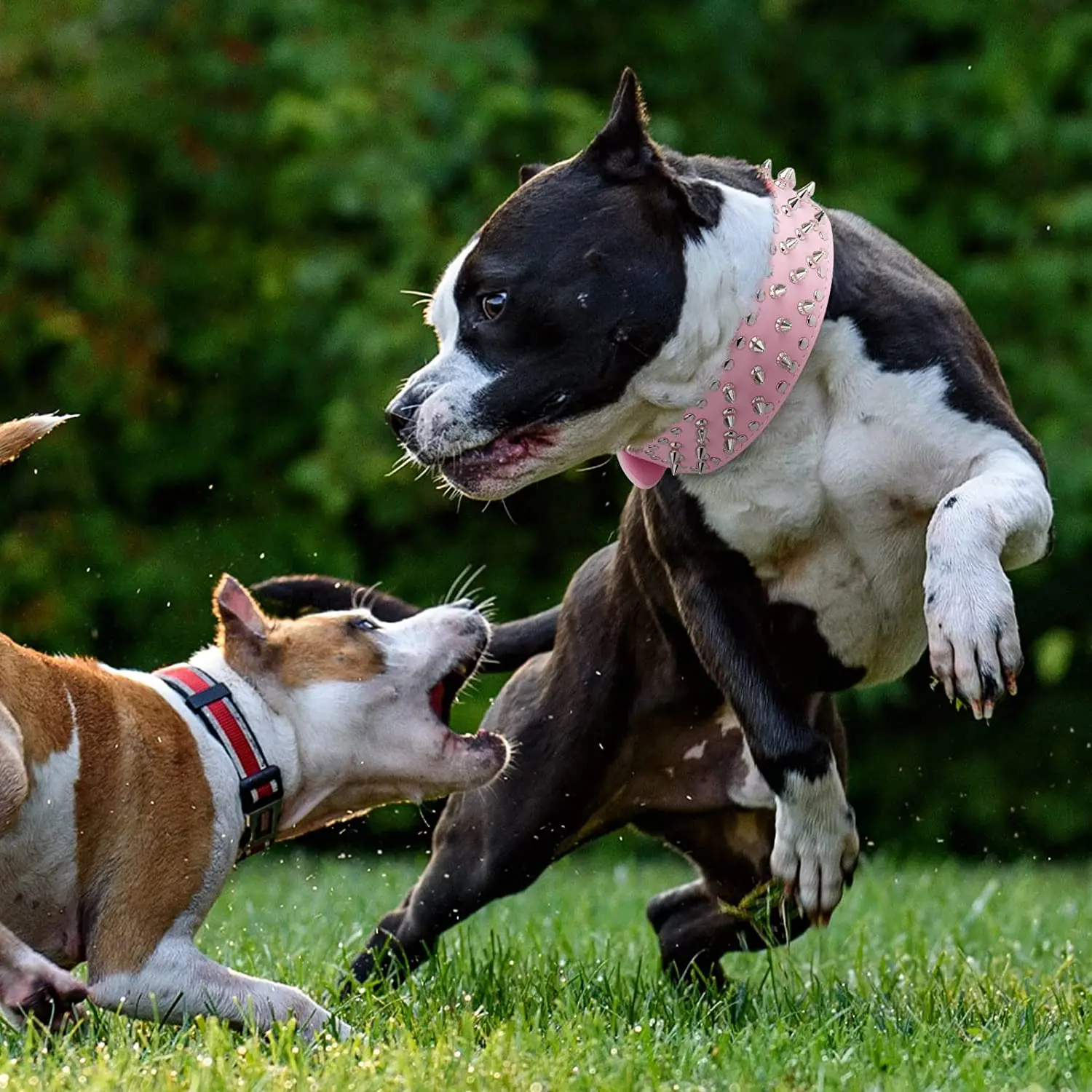 Kolczasty duży pies kołnierz dla średnich dużych ras L-3XL Pitbull Mastiff Boxer PU skóra 4 kolory dużego psa kołnierz dla duży pies