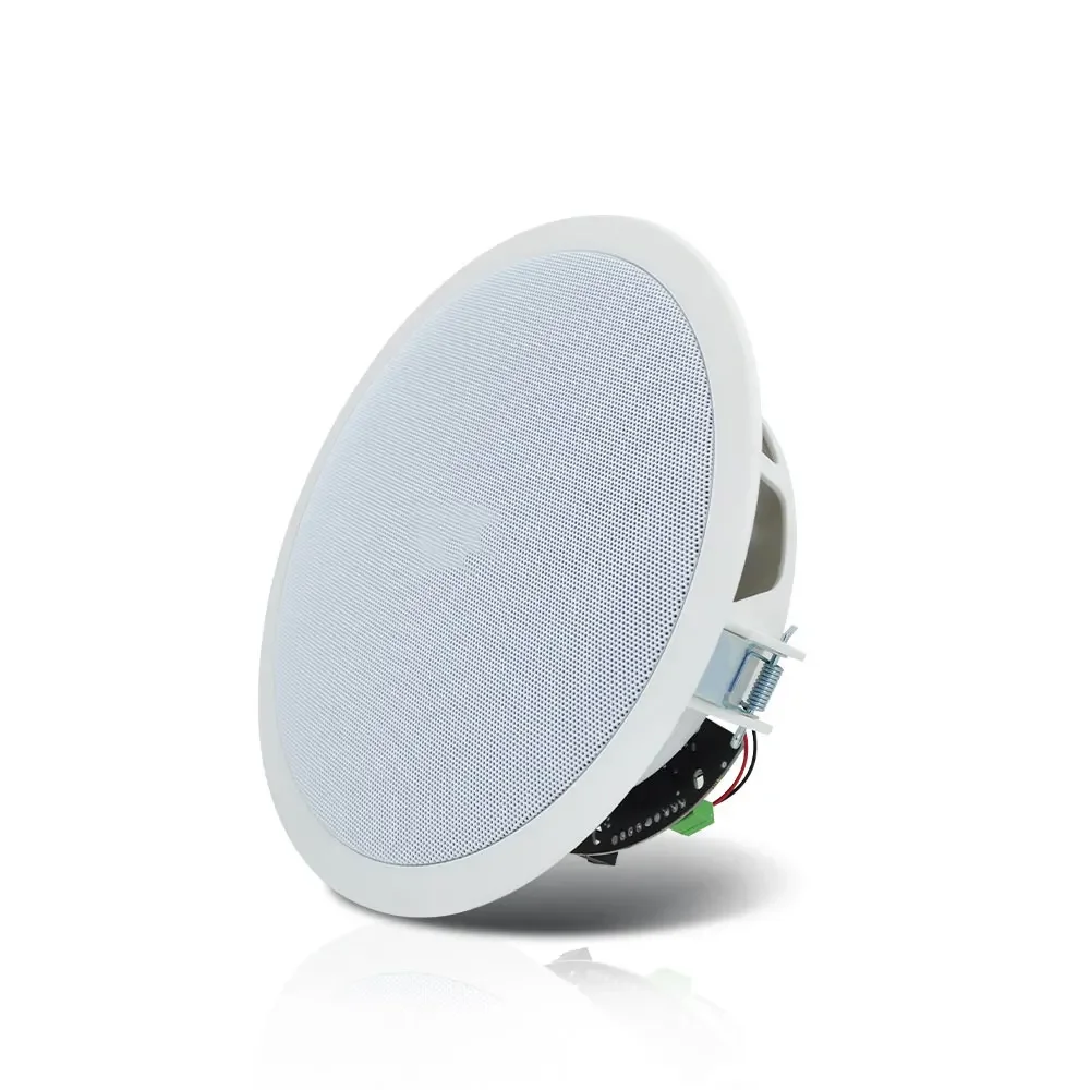 8Inch 20W Bluetooth Draadloze Luidsprekers Voor Thuis Vochtbestendig Dak Muziek Luidspreker Gebouwd In Digitale Klasse D Versterker