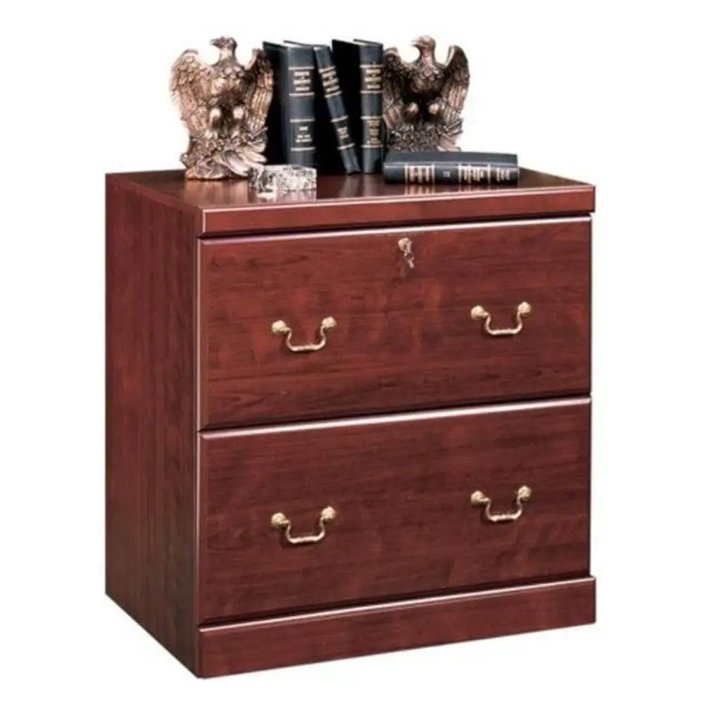 2-Drawer Lateral Filing Cabinet Lockable Easy Assembly for Legal/Letter Size Home Office, Customized