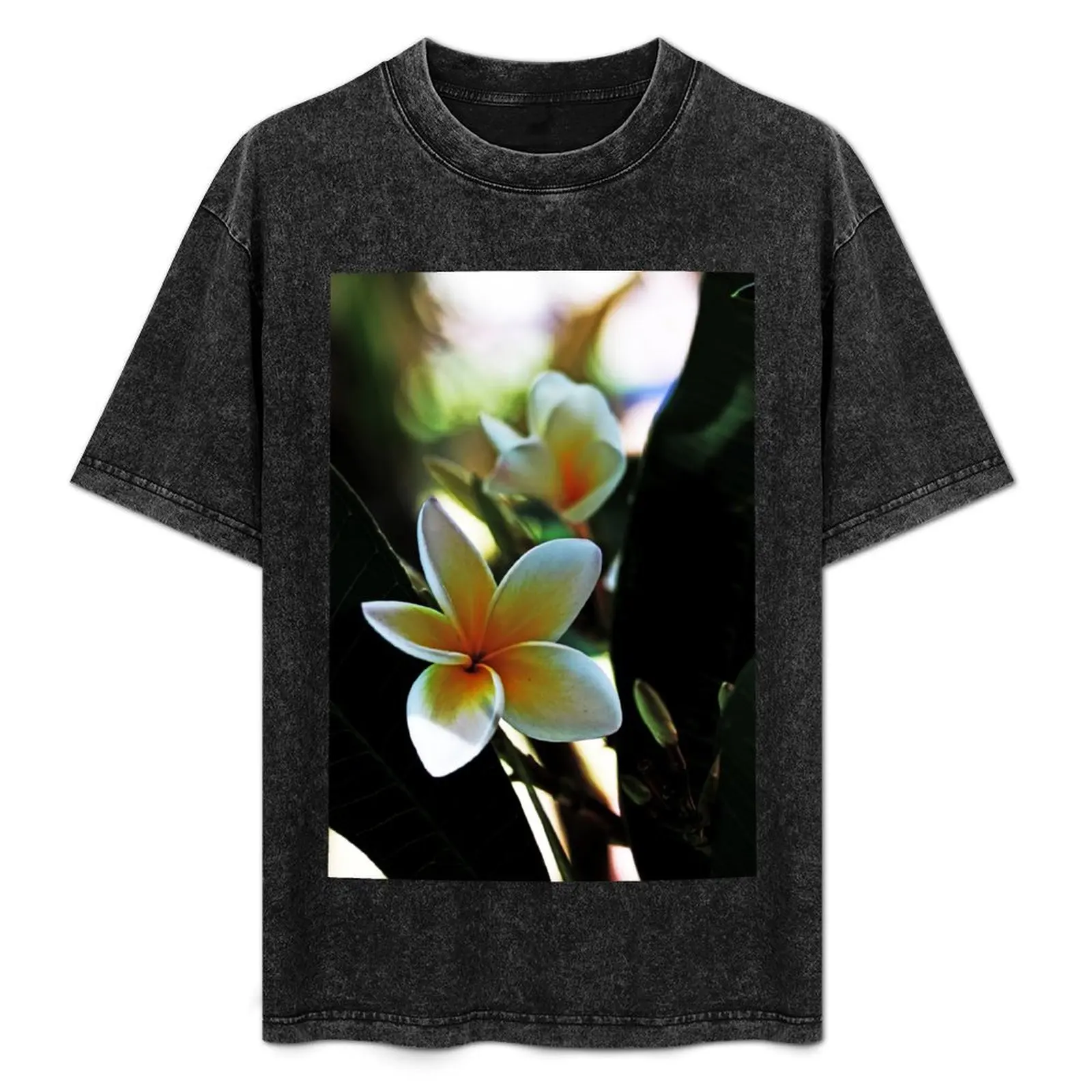 

Frangipani #3 T-Shirt Graphic Print Short Sleeve T-Shirt